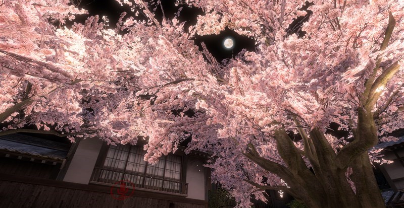 中央の桜と月