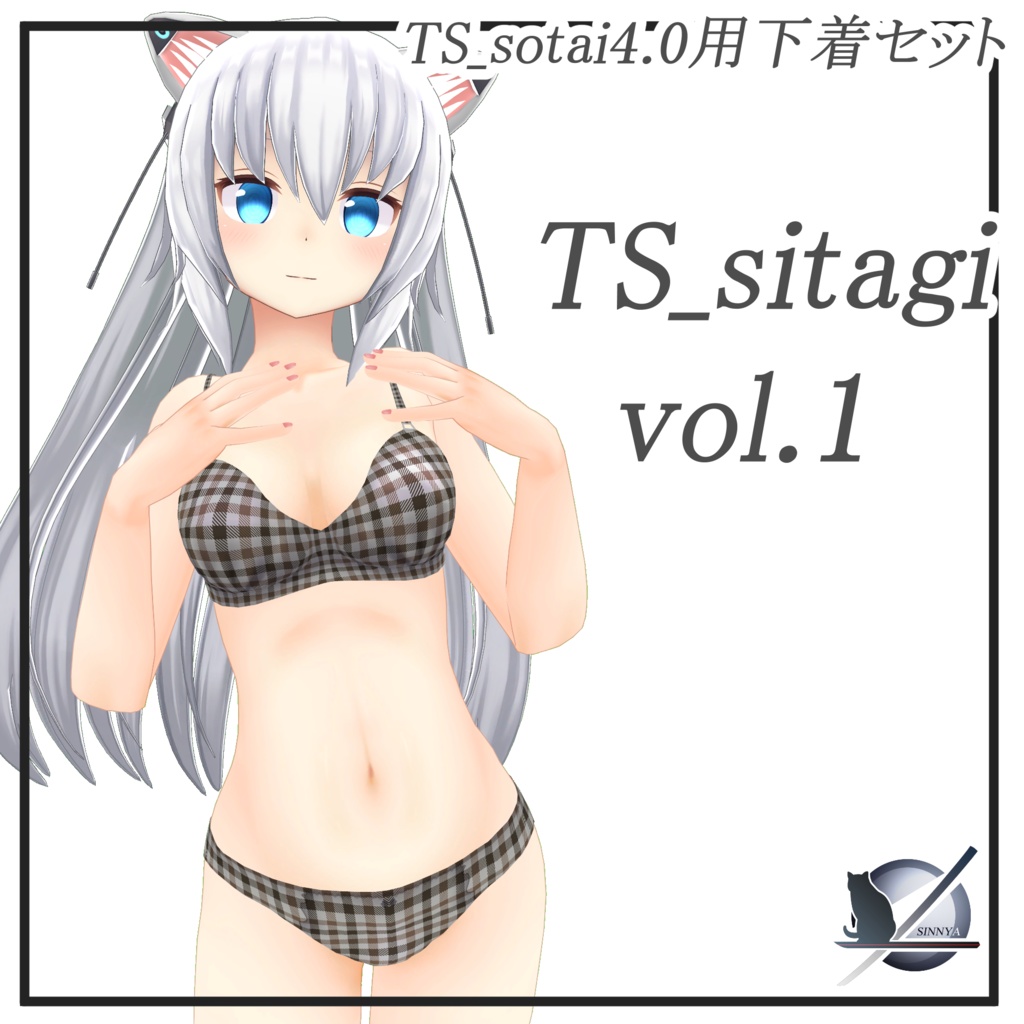 「TS_sotai4.0専用」TS_sitagi